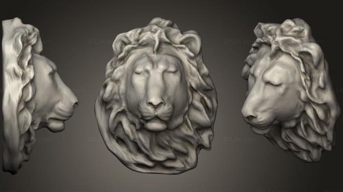 Lion Head Lp